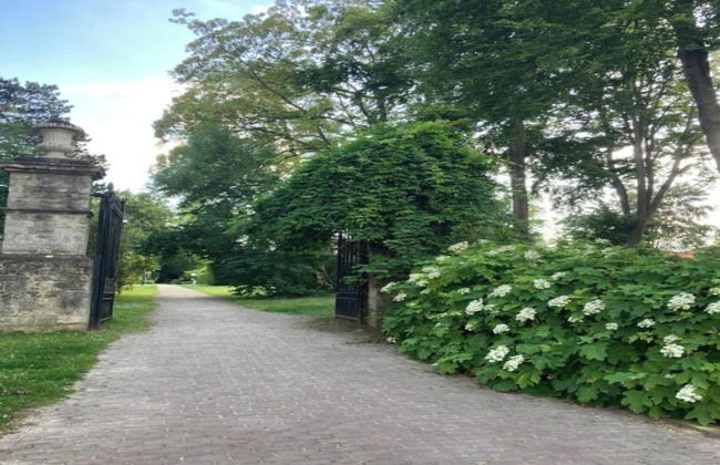 Royas Home Private Studio - Photo 29