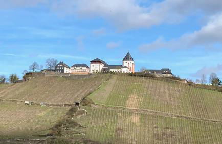 Burgblick Pünderich - Foto 30