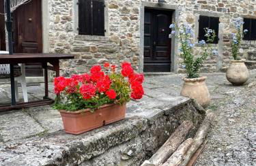 THE DORMOUSE - Il Ghiro - Foto 32