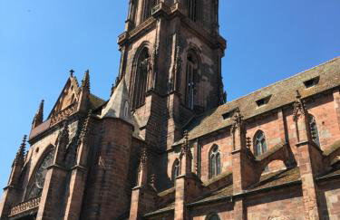 Appartements - La Cour St Fulrad - Foto 47