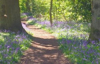 Happy Day -Walk to Warwick Uni & Cannon Park in Coventry that offers free parking 溫馨小居 - Foto 57