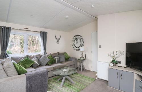 43 The Deri - Foto 5