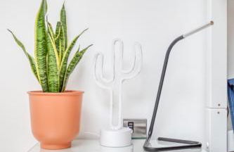 Central Bright 3 Bed Flat with Pool & Parking - Foto 26