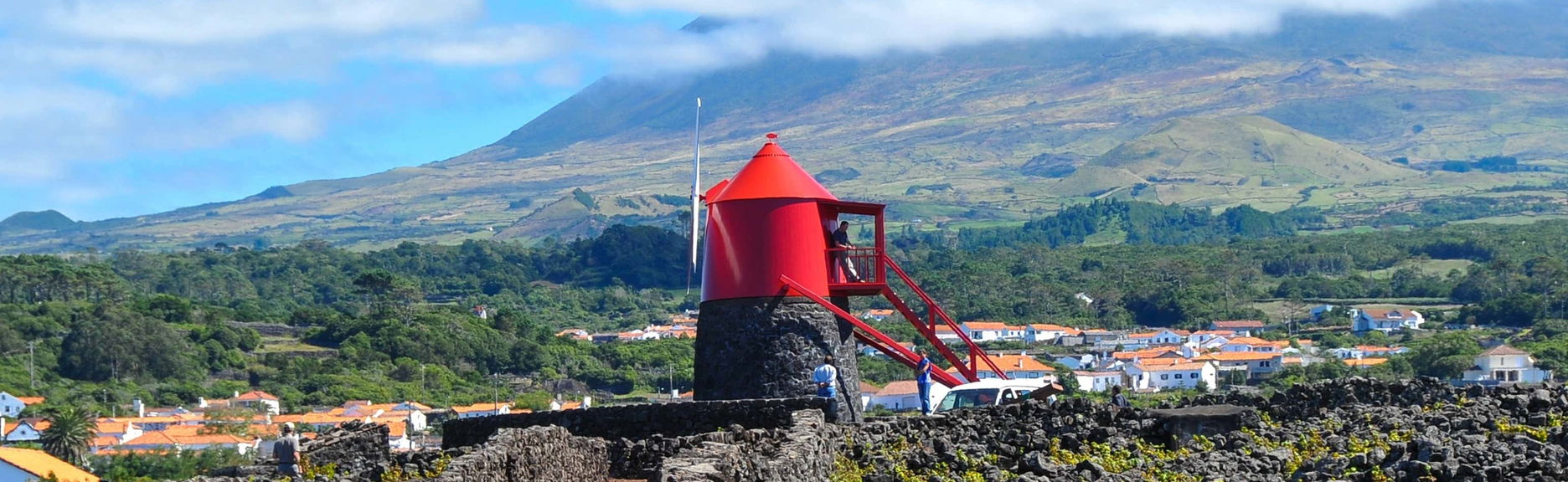 Tour de viñedos y bodegas por Pico