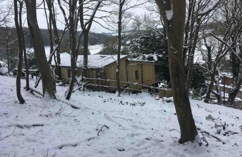 Tree-Tops Treehouse Eco Retreat - Photo 39