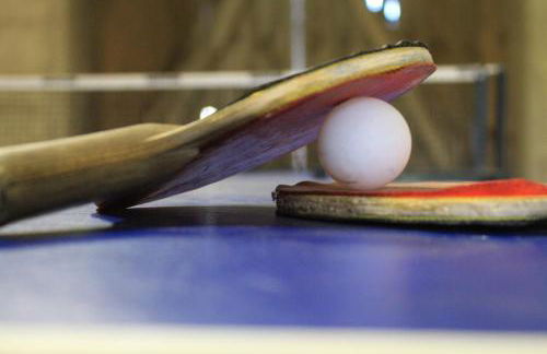 Heidehof Carstens - Ferienwohnung Kornblume - Foto 12