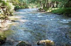 Appartement A proximité d'Ax les thermes - Foto 24