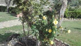 Agriturismo Casa al Povero - Foto 4