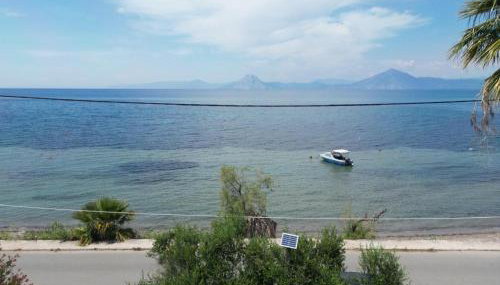 Sunset Oasis - Foto 3