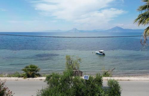 Sunset Oasis - Foto 3