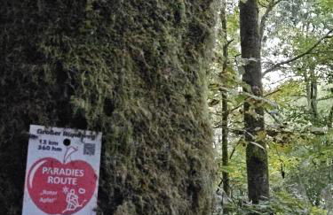 Gemütliche Ferienwohnung im Westerwald - "Ferienwohnung Braun" - Foto 11