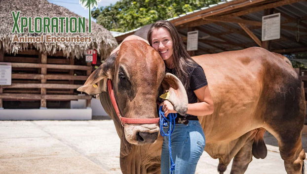 Excursión a Eco Park Punta Cana - Foto 3
