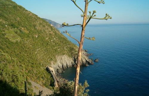 Villa Delle Ciliegie - Foto 59