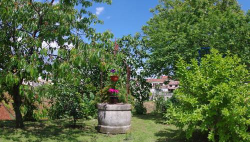 Apartment Elena, village Peresiji - Foto 4, Garden