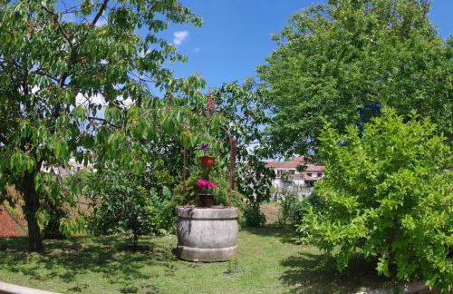 Apartment Elena, village Peresiji - Foto 4