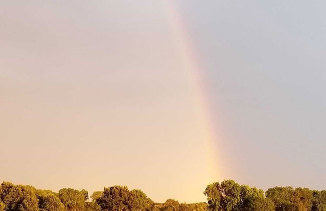 47 Wetherby Way - Foto 8