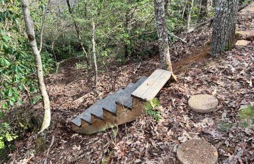 Log Cabin with Mountain View and Privacy - Foto 53