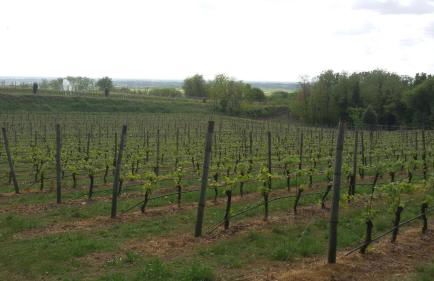 Agriturismo La Torretta da Valentina - Foto 45