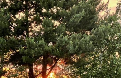 Przystanek Prawdowo - Foto 27