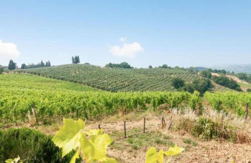 Tuscany Bliss: Garden Retreat - Foto 75