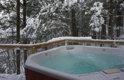 Stellahouse - Awesome Maine Treehouse - Foto 25