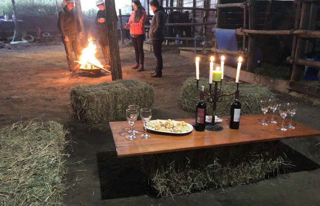 Isla de Maipo Wine Tour - Photo 8