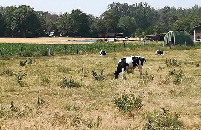 \"the Elf\" Comfortable Holiday Residence - Foto 19