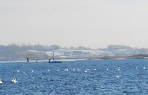 Taun Hövt - Photo 32