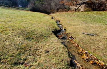 Shiners Hideaway - Cozy Cabin with Trails & Family Memories - Foto 42