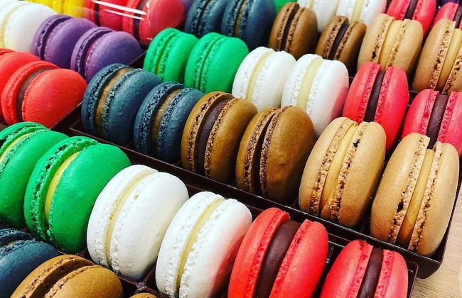 TotalApartments Vervet Fram H - Foto 37