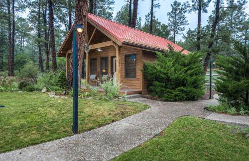 Shadow Mountain Lodge and Cabins - Foto 38