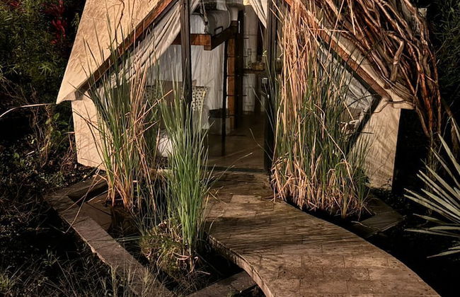 Bosque Geométrico - Foto 75