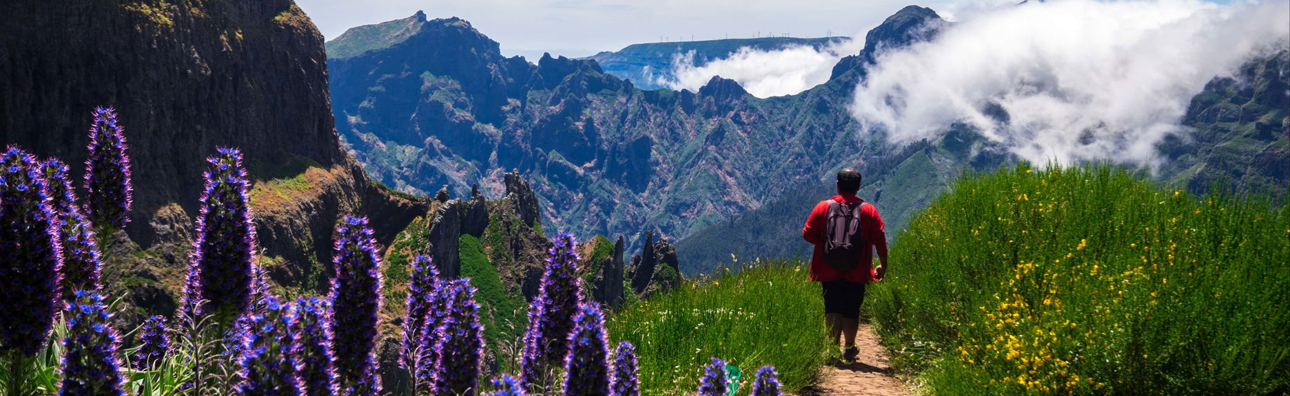 Madeira Hiking Tour