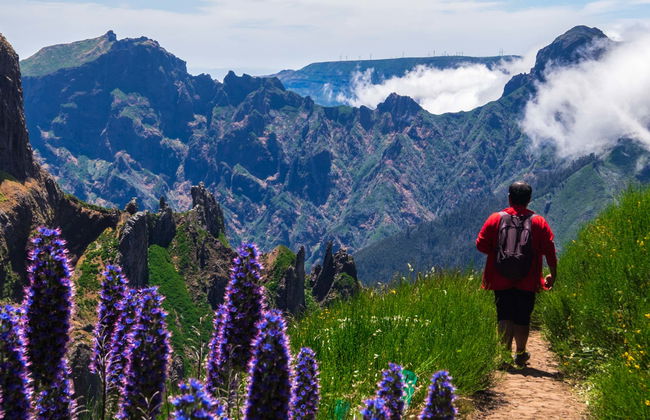 Madeira Hiking Tour - Photo 1