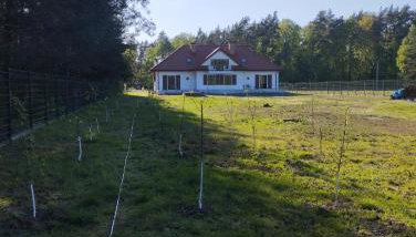 Gościnny dworek - Foto 5, Garden