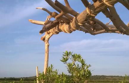 Mas des 4 Vents - Foto 37