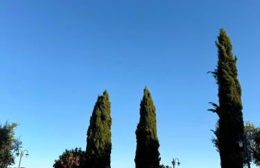 Casa Leoni Chianni - tuscan luxurious Villa - Foto 6