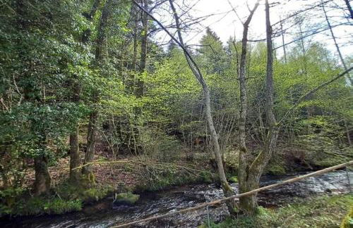 Nature Retreat in Lorraine - Foto 76