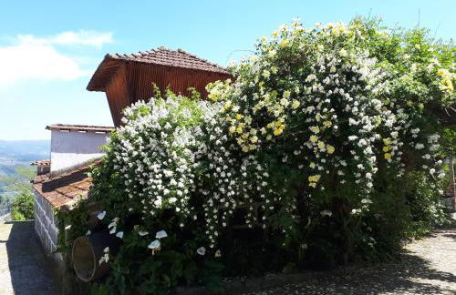 Quinta do Mirante - Foto 59