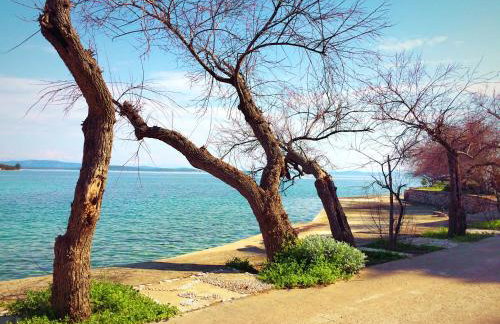 Apartmani Harmonija - Foto 20