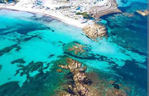 Under the Lemon Tree - Foto 21