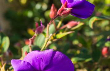 Casa Viña: a spectacular away from it all holiday - Foto 14