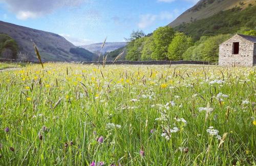 Millgate Fosse Cottage - Foto 28