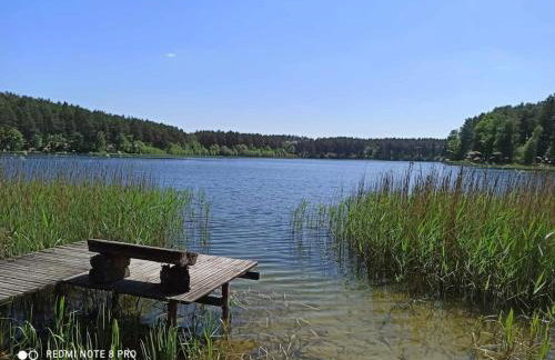 Sielska Oaza - siedlisko wiejskie z domem całorocznym - Foto 47