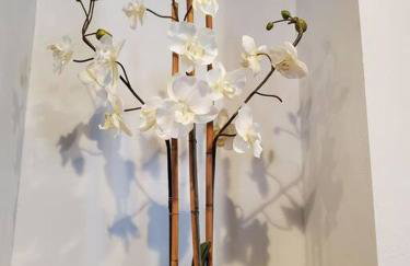 Large beautiful Magnolia in the sunny Saint Pete. - Photo 20