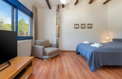 Mas Tinus - Lavanda - Photo 13