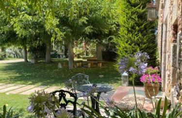 Más Figueres - Foto 31