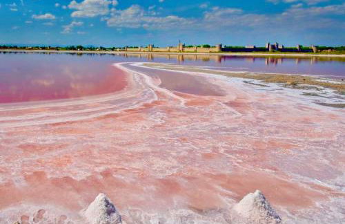 Studio pour deux avec terrasse aux portes de la Camargue - Foto 49