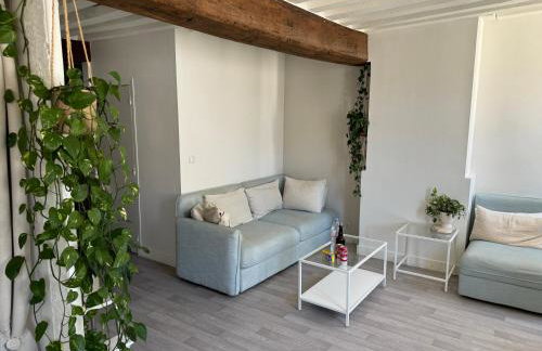 Appartement central - ORLEANS - Foto 4
