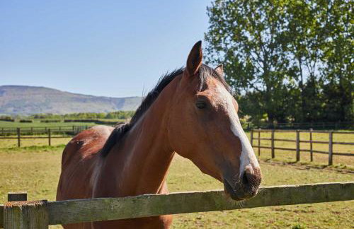 Host & Stay - Finch House - Foto 15